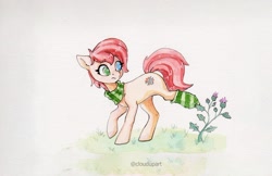 Size: 3100x2011 | Tagged: safe, artist:cloudupart, derpibooru import, oc, oc only, oc:rusty gears, earth pony, clothes, female, heterochromia, plant, scarf, sock, socks, solo, striped socks, stuck