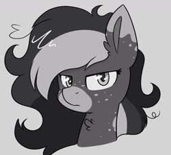 Size: 1280x1158 | Tagged: safe, artist:northwindsmlp, derpibooru import, oc, oc:cocoa, pony, bust, female, mare, monochrome, portrait, solo