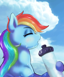 Size: 1000x1200 | Tagged: safe, artist:kunshomo, derpibooru import, rainbow dash, pegasus, pony, blushing, bust, cloud, eyes closed, female, mare, misleading thumbnail, open mouth, pixiv, profile, sky, solo, sweat, water bottle