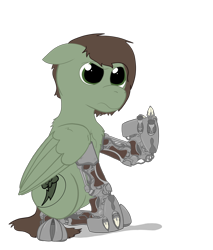 Size: 2996x3516 | Tagged: safe, artist:capt-sierrasparx, derpibooru import, oc, oc only, oc:grounder, cyborg, pegasus, fallout equestria, amputee, brand, dashite, dashite brand, fallout, female, flipping off, foe adventures, mare, prosthetics, simple background, solo, talons, transparent background