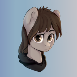 Size: 2000x2000 | Tagged: safe, alternate version, artist:shooshaa, derpibooru import, pegasus, pony, bust, clothes, commission, hair over one eye, hood, hoodie, male, mikey way, my chemical romance, ponified, raised eyebrow, solo, stallion, ych result