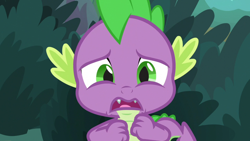 Size: 1920x1080 | Tagged: safe, derpibooru import, screencap, spike, dragon, the big mac question, solo, winged spike