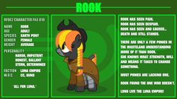 Size: 7140x4000 | Tagged: safe, artist:estories, derpibooru import, oc, oc:rook (estories), earth pony, pony, absurd resolution, clothes, female, hat, mare, reference sheet, solo