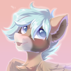 Size: 1500x1500 | Tagged: safe, artist:kebchach, derpibooru import, oc, pegasus, pony, bust, chest fluff, ear fluff, open mouth, pegasus oc, pink background, simple background, smiling, solo, wings