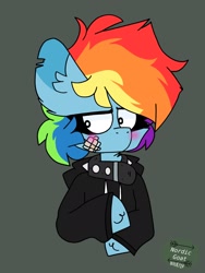 Size: 1536x2048 | Tagged: safe, artist:nordicgoat, derpibooru import, rainbow dash, pegasus, pony, angry, bandage, blushing, cheek fluff, chest fluff, clothes, collar, ear fluff, hoodie, messy mane, ripped ears, short hair, solo, unshorn fetlocks