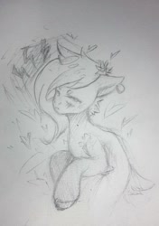 Size: 537x763 | Tagged: safe, artist:kiwwsplash, derpibooru import, oc, oc only, earth pony, pony, ear piercing, earth pony oc, flower, flower in hair, grayscale, lineart, monochrome, piercing, solo, traditional art