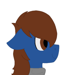 Size: 673x673 | Tagged: safe, artist:derpy_the_duck, derpibooru import, oc, oc:derp, earth pony, clothes, male, simple background, smiling, solo, stallion, transparent background