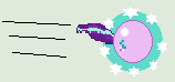 Size: 158x74 | Tagged: safe, artist:jadethepegasus, derpibooru import, starlight glimmer, pony, unicorn, ball, crossover, female, glimmerball, levitation, magic, mare, motion lines, picture for breezies, pixel art, rolling, self-levitation, simple background, solo, sonic the hedgehog (series), spin dash, telekinesis