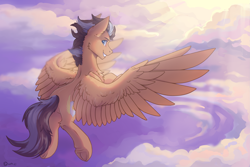 Size: 2551x1701 | Tagged: safe, artist:dark lightning, derpibooru import, oc, oc:brightsky wing, pegasus, pony, cloud, flying, solo