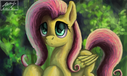 Size: 854x512 | Tagged: safe, artist:dreamyskies, derpibooru import, fluttershy, pegasus, pony, complex background, cute, female, innocent, looking up, mare, shy, wings