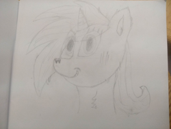 Size: 4000x3000 | Tagged: safe, artist:barpy, derpibooru import, oc, oc only, earth pony, pony, bust, fluffy, looking at you, portrait, simple background, sketch, solo, traditional art