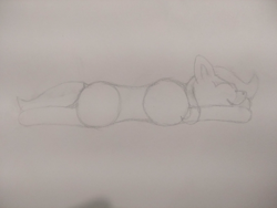 Size: 4000x3000 | Tagged: safe, artist:barpy, derpibooru import, oc, oc only, earth pony, pony, happy, lying on the ground, prone, resting, simple background, sketch, solo, traditional art