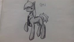 Size: 2560x1440 | Tagged: artist needed, source needed, safe, derpibooru import, oc, oc only, oc:silver bristle, earth pony, pony, cutie mark, looking at you, male, missing accessory, missing cutie mark, necktie, one hoof raised, paper, photo, raised hoof, solo, stallion, traditional art