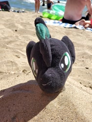 Size: 3024x4032 | Tagged: safe, derpibooru import, oc, oc:brony t pony, pegasus, pony, beach, buried in sand, irl, lake tahoe, photo, plushie, sand