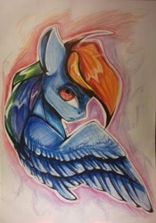 Size: 521x745 | Tagged: safe, artist:kiwwsplash, derpibooru import, pegasus, pony, bust, female, mare, solo, traditional art