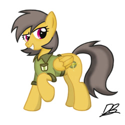 Size: 648x648 | Tagged: safe, artist:divebomb5, derpibooru import, daring do, alternate hairstyle, clothes, shirt, smiling, solo