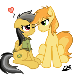 Size: 432x432 | Tagged: safe, artist:divebomb5, derpibooru import, braeburn, daring do, blushing, braedo, clothes, digital art, hatless, heart, missing accessory, no clothes, one eye closed, shipping, shirt, simple background, smiling, transparent background