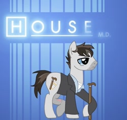 Size: 768x727 | Tagged: artist needed, safe, derpibooru import, earth pony, pony, crossover, gregory house, house m.d., male, ponified, stallion