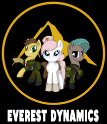 Size: 2953x3425 | Tagged: safe, artist:ottava, nurse redheart, pony, logo, military, star citizen