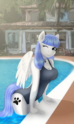 Size: 3000x5000 | Tagged: safe, artist:jerraldina, oc, oc only, oc:snow pup, anthro, pegasus, clothes, collar, leaning, leaning forward, one eye closed, one-piece swimsuit, open-back swimsuit, poolside, swimsuit, wink, winking at you