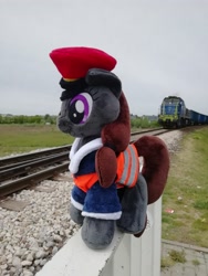 Size: 3120x4160 | Tagged: safe, oc, oc:steel road, photo, plushie, poland, track, train