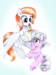 Size: 2303x3072 | Tagged: safe, artist:liaaqila, sweet pop, oc, oc:sky chase, pegasus, pony, autograph, cute, female