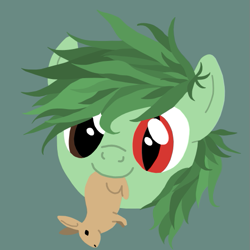 Size: 525x525 | Tagged: safe, artist:catpone cerberus, oc, oc:mwana wamsitu, rabbit, animal, avatar, forest pony, heterochromia, male, solo, stallion