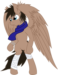 Size: 5898x7605 | Tagged: safe, artist:nero-narmeril, oc, pegasus, pony, bipedal, male, simple background, solo, stallion, transparent background