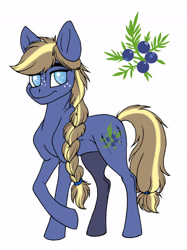 Size: 3444x4608 | Tagged: safe, artist:celestial-rainstorm, oc, oc only, oc:juniper berry, earth pony, pony, blind, female, mare, offspring, parent:applejack, parent:oc:ash bark, parents:canon x oc, simple background, solo, white background