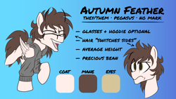 Size: 3840x2160 | Tagged: safe, artist:autumn feather, oc, oc only, oc:autumn feather, pegasus, pony, clothes, glasses, hoodie, reference sheet, solo, text