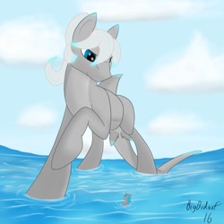 Size: 800x800 | Tagged: safe, artist:stray prey, derpibooru import, oc, oc only, oc:lacera viscera, original species, pony, shark, shark pony, digital art, fins, macro, ocean, sky, tail, water