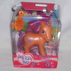 Size: 550x550 | Tagged: safe, photographer:rainbowwindy, sew-and-so (g3), g3, brush, french, rainbow celebration ponies, spanish