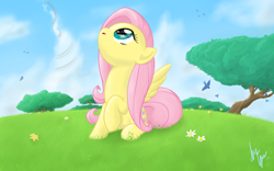 Size: 1920x1200 | Tagged: safe, artist:sameasusual, derpibooru import, fluttershy, bird, pegasus, pony, cute, female, flower, implied rainbow dash, looking up, mare, rainbow trail, shyabetes, sitting, sky, solo, tree