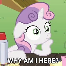 Size: 500x500 | Tagged: safe, edit, edited screencap, screencap, sweetie belle, pony, unicorn, ponyville confidential, caption, cropped, exploitable meme, female, filly, horn, image macro, meme, obligatory pony, solo, sudden clarity sweetie belle, text, two toned mane, white coat, wide eyes