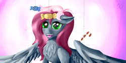 Size: 4000x2000 | Tagged: safe, artist:savian, oc, oc only, pegasus, pony, birthday, female, pegasus oc, solo, wings