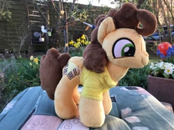 Size: 1280x960 | Tagged: safe, artist:tamlana, cheese sandwich, pony, irl, photo, plushie, solo