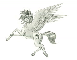 Size: 1400x1098 | Tagged: safe, artist:baron engel, oc, oc only, oc:caldera, pegasus, pony, goggles, grayscale, monochrome, pencil drawing, simple background, solo, traditional art, white background