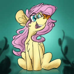 Size: 2500x2500 | Tagged: safe, artist:antimationyt, derpibooru import, fluttershy, butterfly, pegasus, pony, butterfly on nose, chest fluff, cross-eyed, ear fluff, female, folded wings, insect on nose, looking at something, mare, open mouth, sitting, smiling, solo, wings