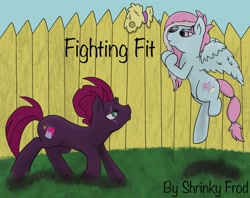 Size: 2505x1986 | Tagged: safe, artist:snow quill, fizzlepop berrytwist, kerfuffle, tempest shadow, pegasus, pony, unicorn, amputee, broken horn, cover art, duo, eye scar, fence, fighting stance, flying, horn, scar, story in the source, stump