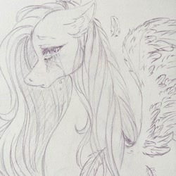 Size: 1080x1080 | Tagged: safe, artist:mayguay, derpibooru import, fluttershy, pegasus, pony, bust, crying, ear fluff, feather, female, floppy ears, lineart, looking at you, mare, monochrome, open mouth, profile, solo, spread wings, teary eyes, traditional art, wings