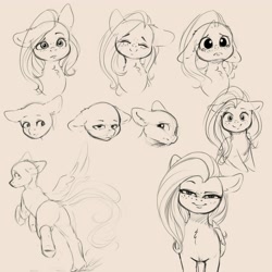 Size: 4000x4000 | Tagged: safe, artist:miokomata, derpibooru import, fluttershy, pegasus, pony, bald, black and white, bust, chest fluff, crying, dock, female, floppy ears, freckles, freckleshy, grayscale, happy, looking at you, mare, monochrome, simple background, sketch, smiling, solo