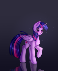 Size: 1732x2140 | Tagged: safe, artist:jennyberry, twilight sparkle, twilight sparkle (alicorn), alicorn, pony, chest fluff, ear fluff, female, leg fluff, mare, reflection, solo