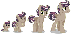 Size: 1280x606 | Tagged: safe, artist:star-gaze-pony, derpibooru import, oc, oc:gizmo, pegasus, pony, age progression, baby, baby pony, colt, male, simple background, solo, stallion, teenager, transparent background