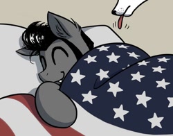 Size: 1008x792 | Tagged: safe, artist:katputze, oc, oc only, oc:sketchy, dog, earth pony, pony, american flag, bed, digital art, male, pillow, sleeping, solo, stallion, sweet dreams fuel, tongue out