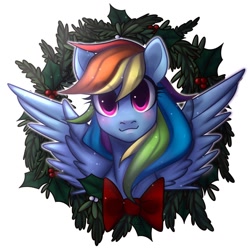 Size: 1024x1024 | Tagged: safe, artist:dikayamaxa, derpibooru import, rainbow dash, pegasus, pony, bow, bust, commission, cute, dashabetes, female, holly, looking at you, mare, portrait, simple background, solo, white background, wreath, ych result