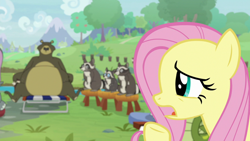 Size: 1920x1080 | Tagged: safe, derpibooru import, screencap, fluttershy, harry, smoky, smoky jr., softpad, bear, pegasus, pony, rabbit, raccoon, she talks to angel, animal, female, mare, stool, tree