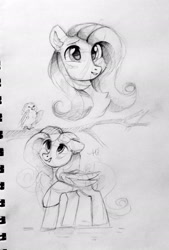 Size: 1381x2048 | Tagged: safe, artist:_mpiesocks, artist:raily, derpibooru import, fluttershy, bird, pegasus, pony, black and white, bust, female, grayscale, mare, monochrome, sketch, solo, talking, traditional art, tree branch, wings