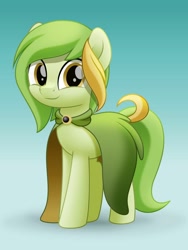 Size: 800x1064 | Tagged: safe, artist:jhayarr23, oc, oc:dust wind, earth pony, pony, cloak, clothes, cute, female, mare, solo