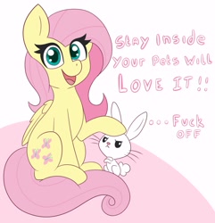 Size: 2889x3000 | Tagged: safe, artist:pegamutt, derpibooru import, angel bunny, fluttershy, pegasus, pony, angel is not amused, dialogue, female, head pat, looking at you, mare, pat, solo, text, vulgar