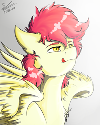 Size: 1064x1330 | Tagged: safe, artist:yuris, oc, oc only, pegasus, pony, male, solo